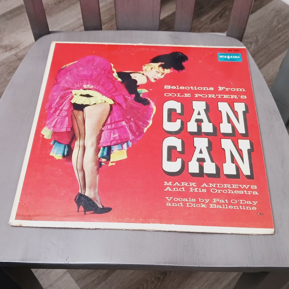 Source Unknown Vinyl Record - Red and Pink Cover